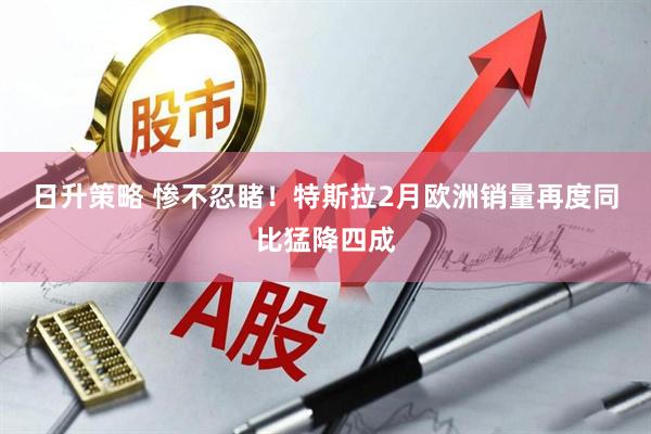 日升策略 惨不忍睹！特斯拉2月欧洲销量再度同比猛降四成