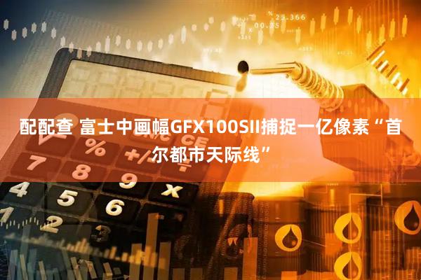 配配查 富士中画幅GFX100SII捕捉一亿像素“首尔都市天际线”