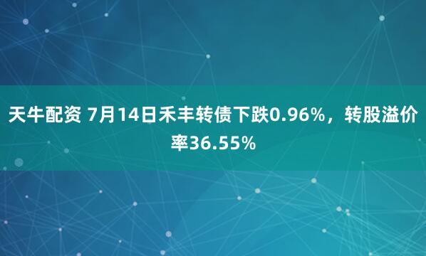 天牛配资 7月14日禾丰转债下跌0.96%，转股溢价率36.55%