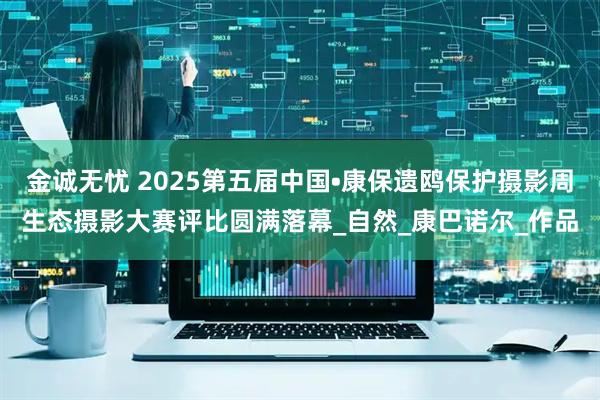 金诚无忧 2025第五届中国•康保遗鸥保护摄影周生态摄影大赛评比圆满落幕_自然_康巴诺尔_作品