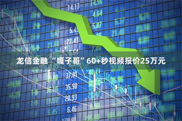 龙信金融 “嘎子哥”60+秒视频报价25万元