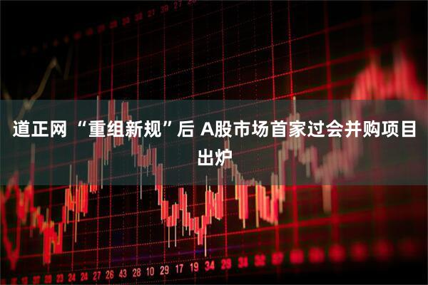 道正网 “重组新规”后 A股市场首家过会并购项目出炉