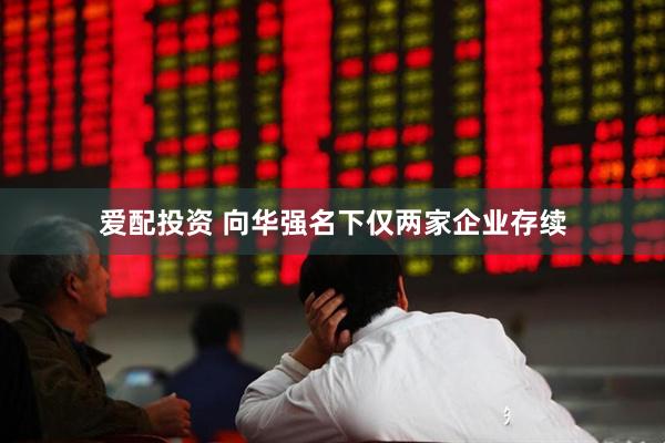 爱配投资 向华强名下仅两家企业存续