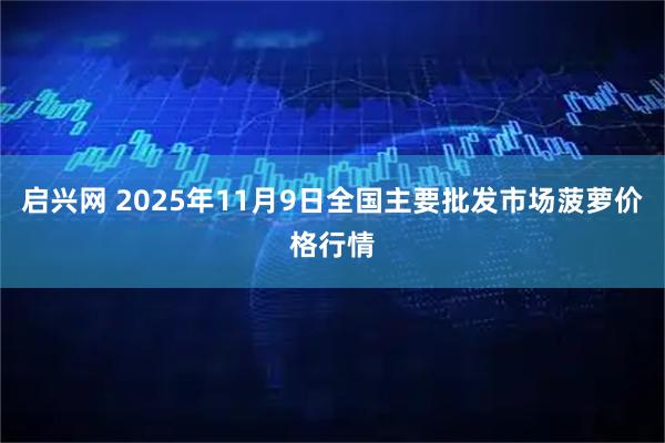 启兴网 2025年11月9日全国主要批发市场菠萝价格行情