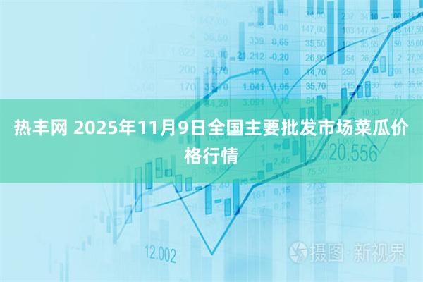 热丰网 2025年11月9日全国主要批发市场菜瓜价格行情