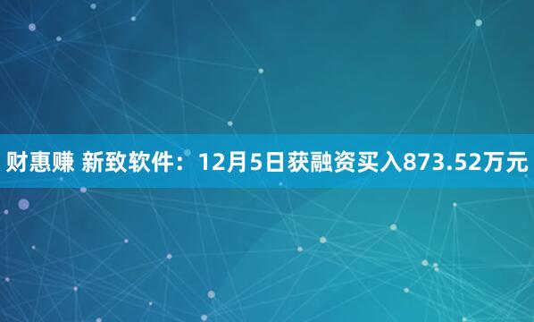 财惠赚 新致软件：12月5日获融资买入873.52万元