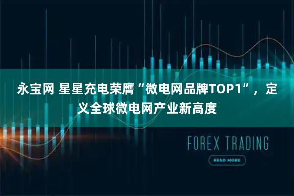 永宝网 星星充电荣膺“微电网品牌TOP1”，定义全球微电网产业新高度